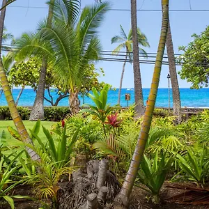  Apartment Spring Rates Book Now - Islander
